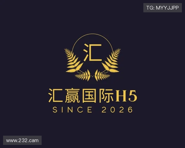 剖析汇赢国际h5